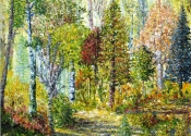 Lumières d'arbres